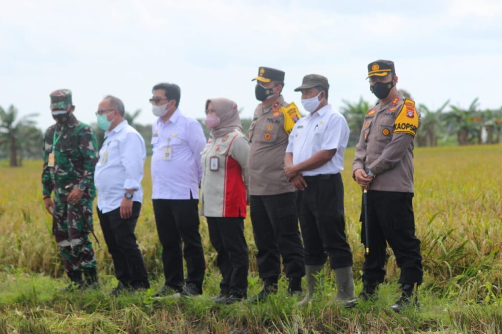 Foto saat Mentan RI bersama Wakapolda Tinjau lokasi Food Estate