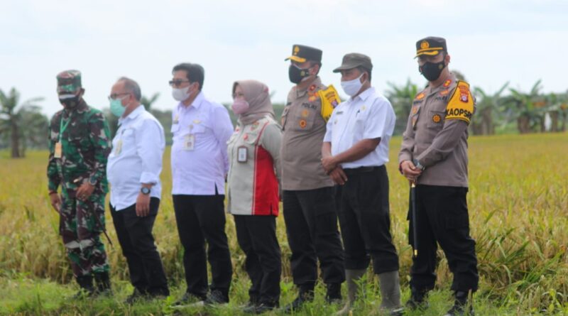 Foto saat Mentan RI bersama Wakapolda Tinjau lokasi Food Estate