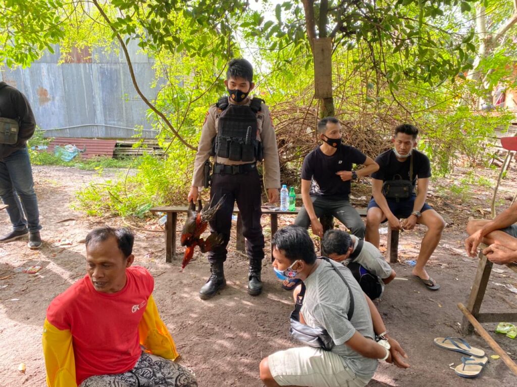 Foto suasana penggebrekan sabung ayam