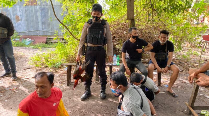 Foto suasana penggebrekan sabung ayam