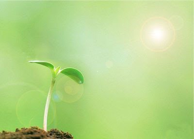 Sumber Foto: tanwirnews.blogspot.com