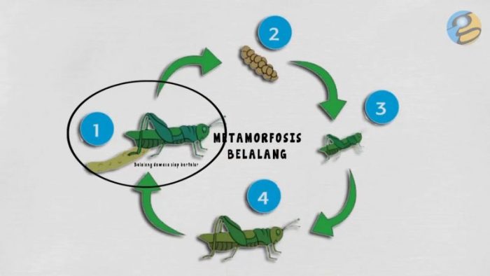 Sumber foto: wisnuadi.com