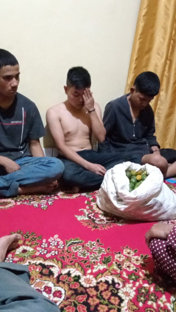 Foto tersangka pencurian pinang yang berhasil ditangkap