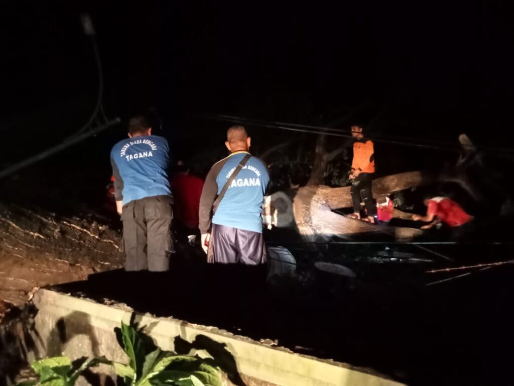 Foto suasana mengevakuasi pohon tumbang