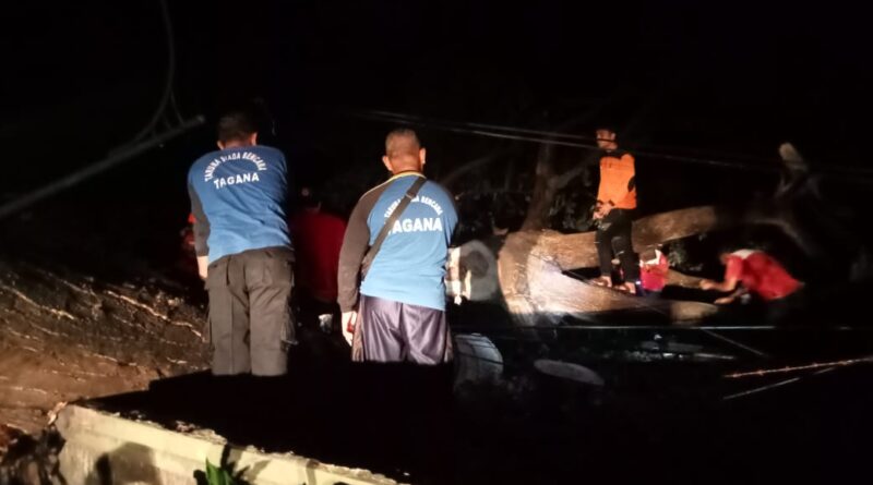 Foto suasana mengevakuasi pohon tumbang