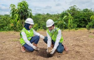 Foto: Tim PTBA Tanam kembali Bibit pohon di area Reklamasi. 