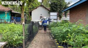 Salah satu Program ECO Agrotomation PTBA Budidaya tanaman berbasis Otomasi Ramah lingkungan di Desa Keban Agung (Foto: IST) 