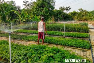 Zailani (Local Hero) Pria Ds. Tj. Karangan didukung PTBA dengan Program  Eco Agromatic berbasis Otomasi membudidayakan 40.000 bibit tanaman di lahan seluas 1,3 hektar (Foto: IST) 