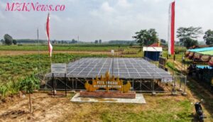 PLTS yang dibangun PTBA untuk irigasi lahan pertanian yang berlokasi di Kampung Rejosari, Kec. Seputih Mataram, Kab. Lampung Tengah (Foto: IST) 