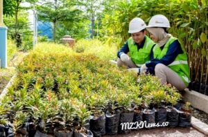 Tim PTBA melaksanakan program penghijauan lingkungan (Foto: IST)Â