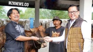 Pj. Bupati Lahat Muhamad Farid saat menyerahkan hewan sapi kurban dari Pemkab Lahat (Foto: IST) 