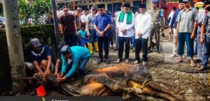 Pj. Bupati Lahat didampingi Ketua PCNU Kab.Lahat H. Taufikkurahman menyaksikan penyembelihan sapi kurban (Foto: IST)Â