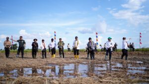 Wamentan RI didampingi Pj. Bupati Muara Enim, Pangdam II Swj, Danrem 004 Garuda Dempo, Sekdaprov Sumsel, Tabur Benih Padi Rawa Lebak di Desa Arisan Timur Kec. Muara Belida, Kab. Muara Enim (Foto: IST)Â