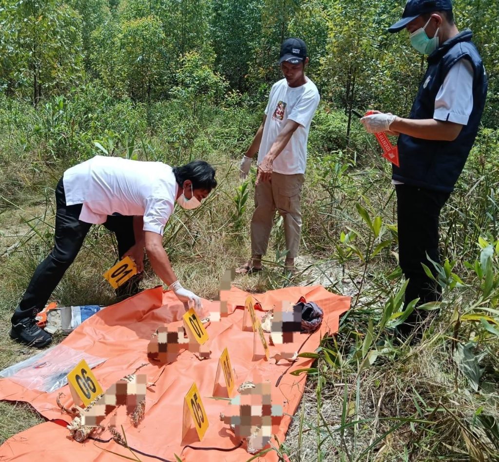 Polsek Singingi Hilir bersama Satreskrim Polres Kuantan Singingi (Kuansing) tengah mendalami penemuan kerangka manusia di areal konsesi PT RAPP Estate Teso, Rabu (4/3/2026). Tulang belulang tersebut ditemukan berserakan di Blok Teso Barat, Desa Bukit Raya, Kecamatan Singingi Hilir. (Foto: Humas Polres Kuantan Singingi)