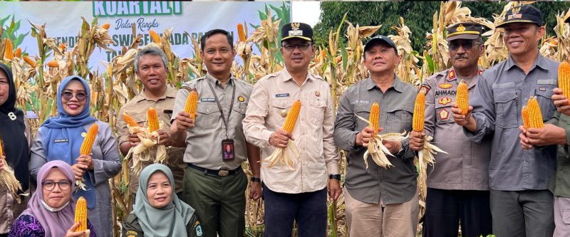 Wakil Bupati Kerinci, H. Murison, S.Pd., S.Sos., M.Si., menghadiri kegiatan Panen Raya Jagung Serentak Kuartal IV di Desa Koto Baru, Kecamatan Danau Kerinci, Kamis (8/1/2026). (Foto: Kominfo Kerinci)