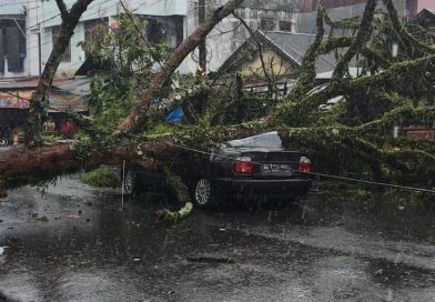Hujan deras disertai angin kencang melanda wilayah Curup, Kabupaten Rejang Lebong, pada Minggu (15/3/2026) sore. Cuaca ekstrem yang terjadi sekitar pukul 15.00 WIB ini mengakibatkan sebuah pohon besar tumbang di kawasan Jalan Pasar Atas Curup. (Foto: IST)