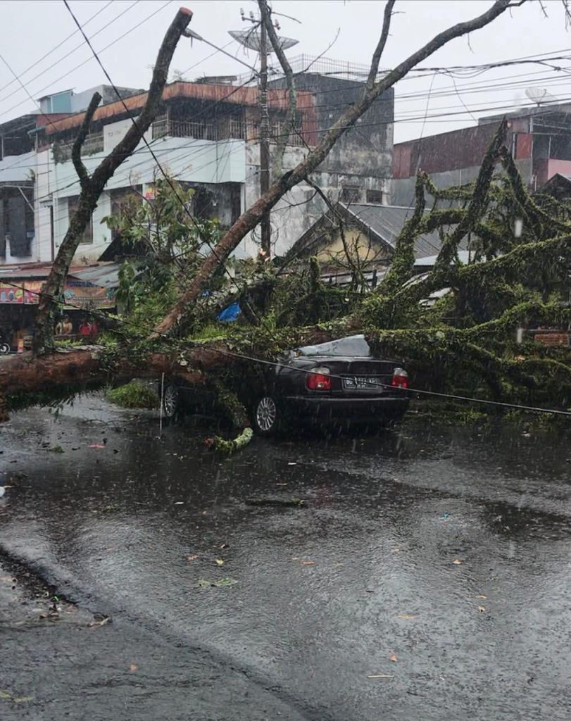 Hujan deras disertai angin kencang melanda wilayah Curup, Kabupaten Rejang Lebong, pada Minggu (15/3/2026) sore. Cuaca ekstrem yang terjadi sekitar pukul 15.00 WIB ini mengakibatkan sebuah pohon besar tumbang di kawasan Jalan Pasar Atas Curup. (Foto: IST)
