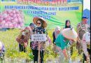 Wakil Bupati Lahat, Widia Ningsih, S.H., M.H., melakukan panen raya bawang merah varietas Brebes di Desa Tunggul Bute, Kecamatan Kota Agung, Kamis (9/4/2026). Kegiatan ini menjadi tonggak baru bagi sektor pertanian di Kabupaten Lahat. (Foto: Pemkab Lahat)