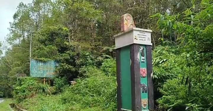 Balai Besar Taman Nasional Kerinci Seblat (BBTNKS) mengeluarkan peringatan keras kepada masyarakat agar berhenti membuka lahan di dalam kawasan hutan konservasi, Kamis (9/4/2026). (Foto: IST)