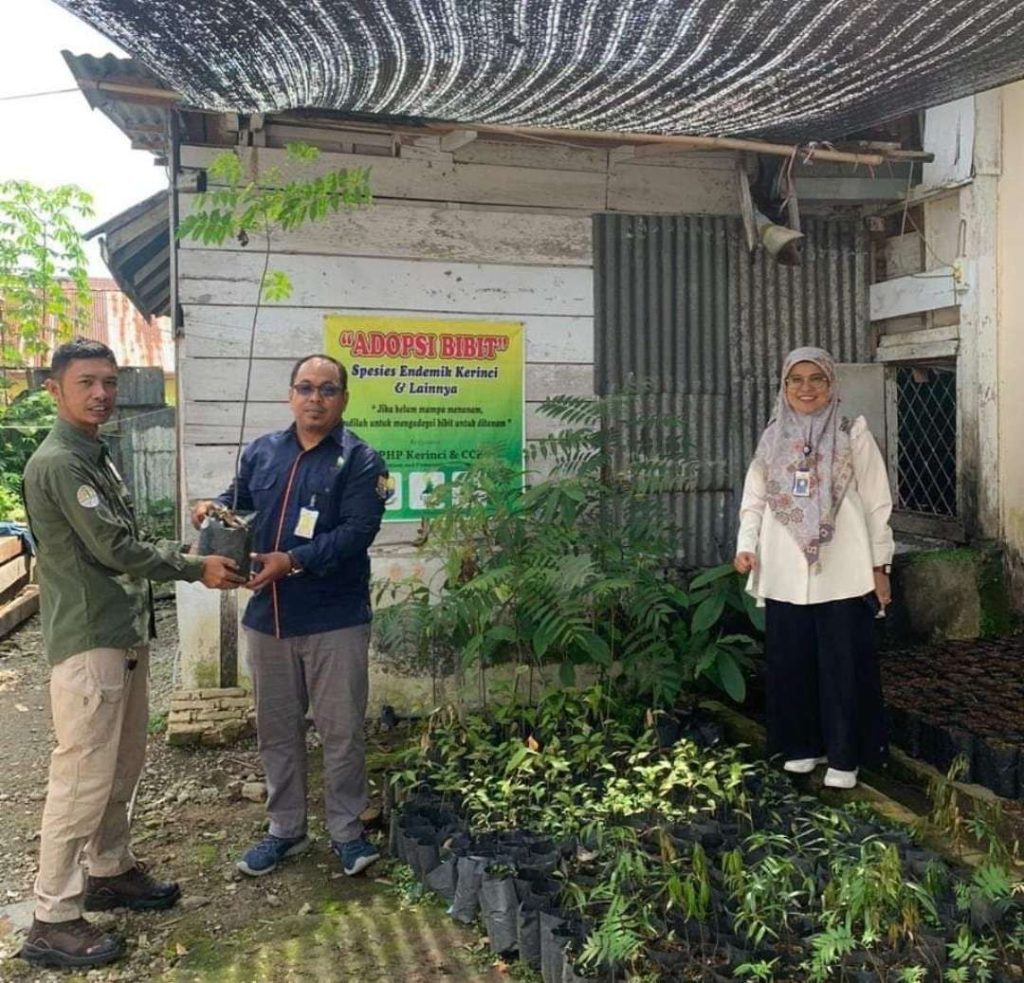 Neneng Susanti, Kepala KPHP Unit Kerinci dalam Acara Penyerahan Bibit Pohon. (Foto: IST)
