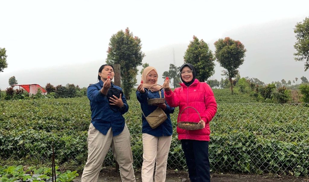 Pengunjung Kebun Stroberi Alam Raya, Desa Telun Berasap, Kecamatan Gunung 7 Kayu Aro, Kabupaten Kerinci, Provinsi Jambi. (Foto: IST/Dewi Yulianti)