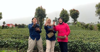 Pengunjung Kebun Stroberi Alam Raya, Desa Telun Berasap, Kecamatan Gunung 7 Kayu Aro, Kabupaten Kerinci, Provinsi Jambi. (Foto: IST/Dewi Yulianti)