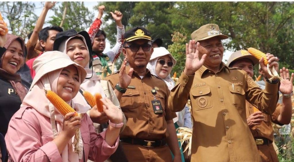 Wakil Wali Kota Sungai Penuh, Azhar Hamzah, terjun langsung mendukung program swasembada pangan daerah. Ia mengikuti kegiatan panen jagung bersama Badan Usaha Milik Desa (BUMDes) di Desa Sungai Ning pada Selasa (14/4/2026). (Foto: Diskominfosta Sungai Penuh)