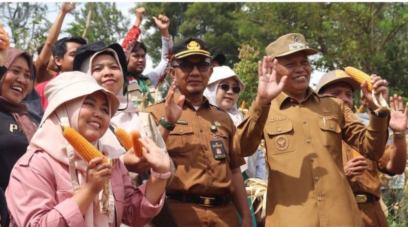 Wakil Wali Kota Sungai Penuh, Azhar Hamzah, terjun langsung mendukung program swasembada pangan daerah. Ia mengikuti kegiatan panen jagung bersama Badan Usaha Milik Desa (BUMDes) di Desa Sungai Ning pada Selasa (14/4/2026). (Foto: Diskominfosta Sungai Penuh)