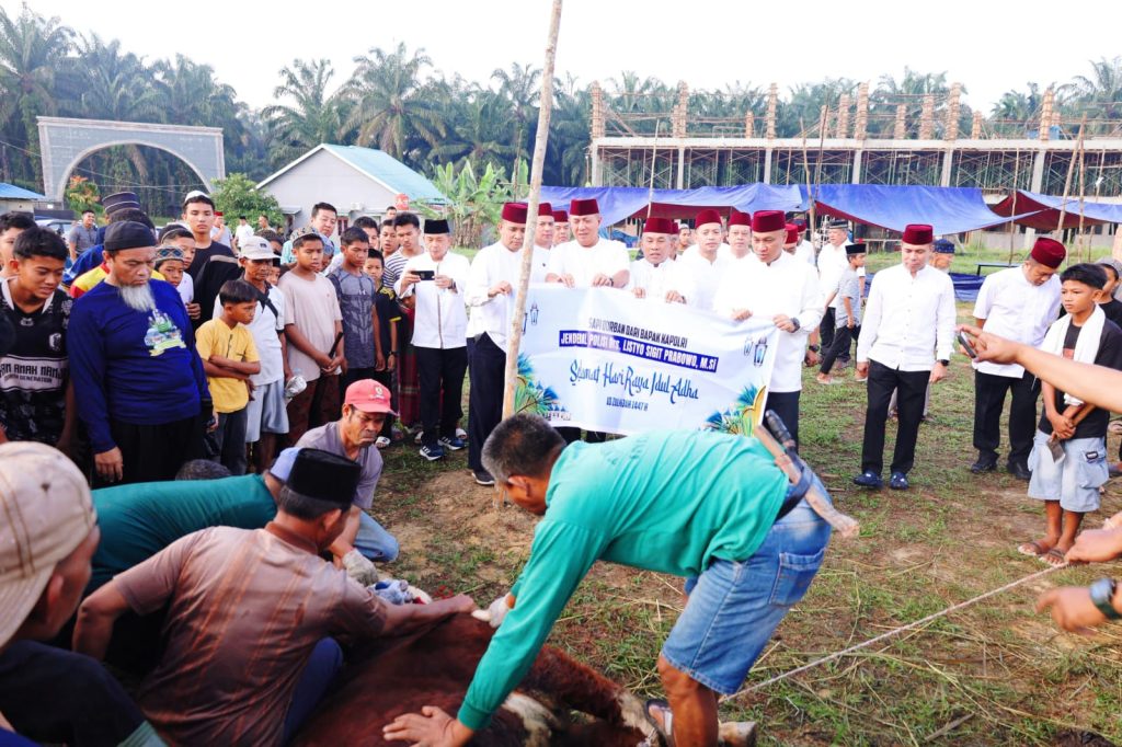 Prosesi penyembelihan empat ekor hewan kurban dari kapolri dan Kapolda Riau tersebut dipusatkan di Pondok Pesantren Nurul Azhar, Rumbai Barat, Sabtu (30/5/2026). (Foto: Bidhumas Polda Riau)