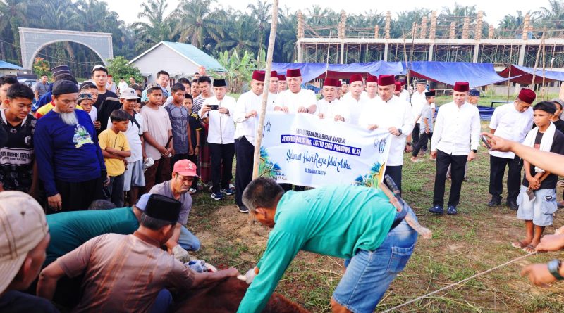 Prosesi penyembelihan empat ekor hewan kurban dari kapolri dan Kapolda Riau tersebut dipusatkan di Pondok Pesantren Nurul Azhar, Rumbai Barat, Sabtu (30/5/2026). (Foto: Bidhumas Polda Riau)