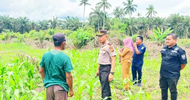 Kapolsek Sabak Auh, Ipda M. Nalzon, S.E., bersama Camat dan para Penghulu meninjau langsung perkembangan swasembada jagung pipil di Kampung Belading, Kabupaten Siak, Jumat (8/5/2026). (Foto: Humas Polsek Sabak Auh)