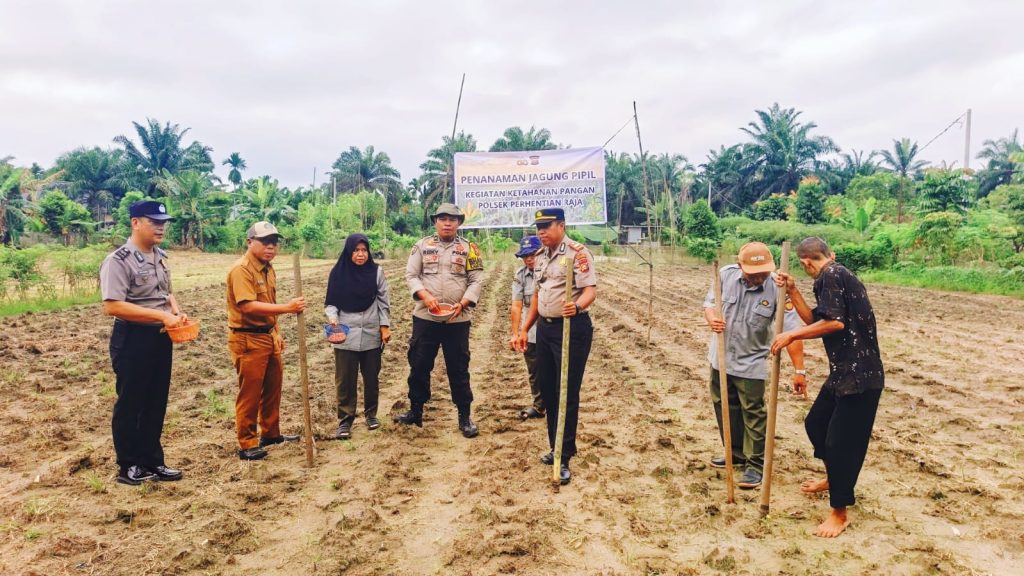 Semangat swasembada pangan menyelimuti Desa Hangtuah, Kecamatan Perhentian Raja, pada Senin (11/5/2026). Polsek Perhentian Raja bersama unsur pemerintah dan petani setempat melaksanakan penanaman jagung pipil kuartal II di lahan seluas 0,75 hektare. (Foto: Humas Polsek Perhentian Raja)