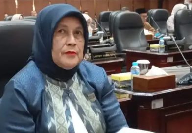 Anggota Komisi V DPRD Sumatera Barat, Hj. Endarmy, menyoroti kondisi Jembatan Anduriang di Kayu Tanam yang masih terbengkalai, Senin (11/5/2026). (Foto: IST/Novrianto)