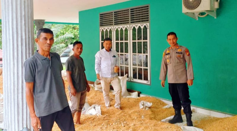 Polsek Tapung Hilir menunjukkan komitmen nyata dalam menyukseskan Astra Cita Presiden di bidang ketahanan pangan. Upaya ini dibuktikan dengan keberhasilan panen raya jagung pipil di enam desa wilayah Kecamatan Tapung Hilir pada Selasa (12/5/2026). (Foto: Humas Polsek Tapung Hilir)