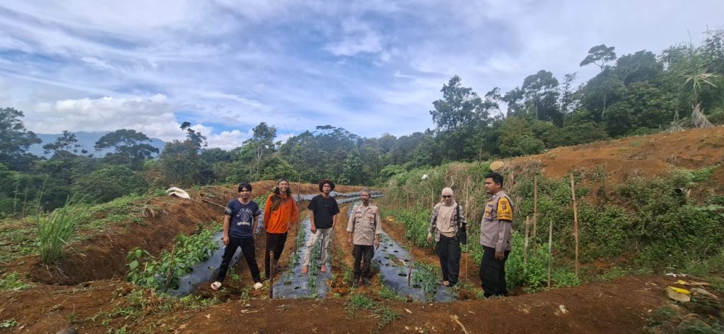 ajaran Polsek Semende Darat Laut menunjukkan aksi nyata dalam mendukung swasembada pangan nasional. Personel kepolisian bersama warga Desa Batu Surau, Kecamatan Semende Darat Tengah, bahu-membahu menanam jagung di lahan tidur seluas 2 hektare pada Kamis (14/5/2026). (Foto: IST/Yogie Yolanda)