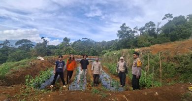ajaran Polsek Semende Darat Laut menunjukkan aksi nyata dalam mendukung swasembada pangan nasional. Personel kepolisian bersama warga Desa Batu Surau, Kecamatan Semende Darat Tengah, bahu-membahu menanam jagung di lahan tidur seluas 2 hektare pada Kamis (14/5/2026). (Foto: IST/Yogie Yolanda)