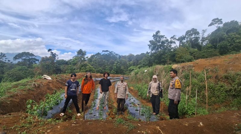 ajaran Polsek Semende Darat Laut menunjukkan aksi nyata dalam mendukung swasembada pangan nasional. Personel kepolisian bersama warga Desa Batu Surau, Kecamatan Semende Darat Tengah, bahu-membahu menanam jagung di lahan tidur seluas 2 hektare pada Kamis (14/5/2026). (Foto: IST/Yogie Yolanda)