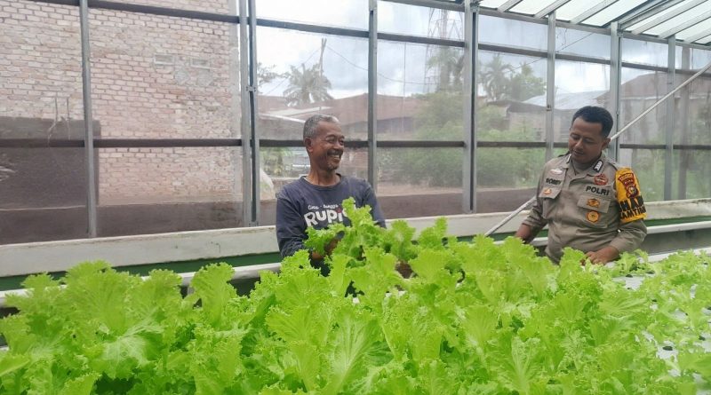 Polresta Pekanbaru melalui jajaran Polsek Limapuluh kembali menunjukkan kepedulian nyata terhadap sektor pertanian masyarakat. Personel Binmas dan Bhabinkamtibmas turun langsung melakukan pengecekan tanaman sayur organik di Kelurahan Tanjung Rhu, Jumat (15/5/2026). (Foto: Humas Polresta Pekanbaru)