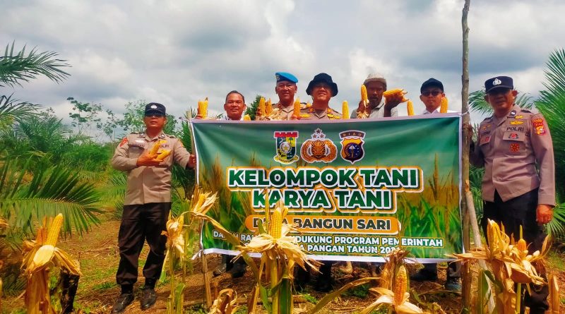 Kelompok Tani Karya Tani Desa Bangun Sari, Kecamatan Kampar Kiri Hilir, mencatatkan keberhasilan dalam sektor agraris. Mereka sukses memanen 1.000 kilogram atau 1 ton jagung pipil di lahan seluas 1 hektare, Rabu (20/5/2026). (Foto: Humas Polres Kampar)