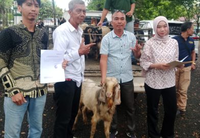 PT Bukit Asam Tbk (PTBA) kembali menunjukkan kepedulian sosialnya menjelang perayaan Idul Adha 1447 Hijriah. Anggota Holding Industri Pertambangan MIND ID ini menyalurkan bantuan hewan kurban kepada Pengurus Daerah (PD) Ikatan Wartawan Online (IWO) Kabupaten Lahat, Kamis (21/5/2026). (Foto: IST/Heri Susanto)