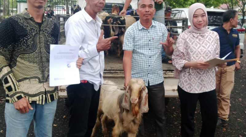 PT Bukit Asam Tbk (PTBA) kembali menunjukkan kepedulian sosialnya menjelang perayaan Idul Adha 1447 Hijriah. Anggota Holding Industri Pertambangan MIND ID ini menyalurkan bantuan hewan kurban kepada Pengurus Daerah (PD) Ikatan Wartawan Online (IWO) Kabupaten Lahat, Kamis (21/5/2026). (Foto: IST/Heri Susanto)