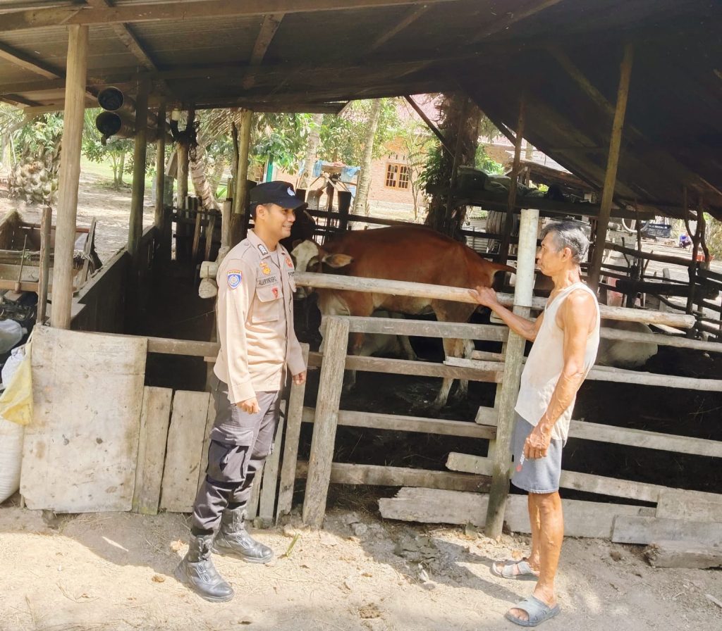 Langkah humanis ini ditunjukkan oleh Bhabinkamtibmas Kampung Sungai Tengah, Bripka Alexander Gea, saat menyambangi peternak lokal, Jumat (22/5/2026). (Foto: Humas Polsek Sabak Auh)