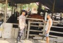 Langkah humanis ini ditunjukkan oleh Bhabinkamtibmas Kampung Sungai Tengah, Bripka Alexander Gea, saat menyambangi peternak lokal, Jumat (22/5/2026). (Foto: Humas Polsek Sabak Auh)