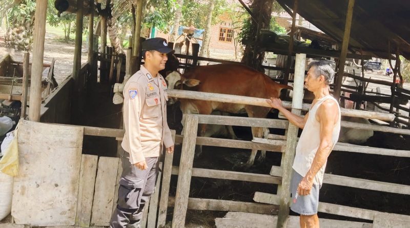 Langkah humanis ini ditunjukkan oleh Bhabinkamtibmas Kampung Sungai Tengah, Bripka Alexander Gea, saat menyambangi peternak lokal, Jumat (22/5/2026). (Foto: Humas Polsek Sabak Auh)
