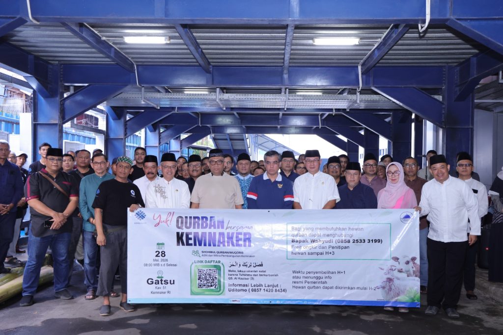 Kementerian Ketenagakerjaan (Kemnaker) sukses menghimpun sebanyak 93 ekor hewan kurban pada perayaan Hari Raya Iduladha 1447 Hijriah. Puluhan hewan ternak tersebut terdiri atas 38 ekor sapi dan 55 ekor kambing atau domba. (Foto: Kemenaker RI)