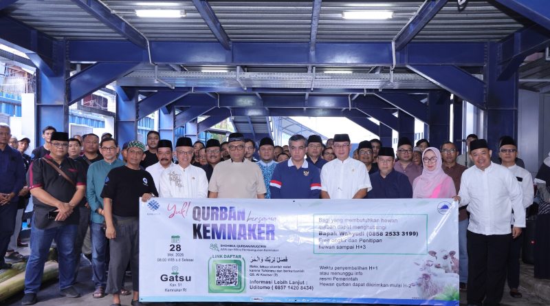Kementerian Ketenagakerjaan (Kemnaker) sukses menghimpun sebanyak 93 ekor hewan kurban pada perayaan Hari Raya Iduladha 1447 Hijriah. Puluhan hewan ternak tersebut terdiri atas 38 ekor sapi dan 55 ekor kambing atau domba. (Foto: Kemenaker RI)