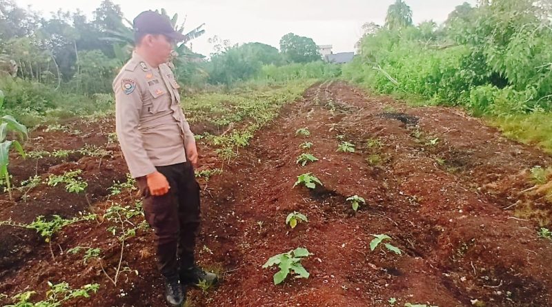 Kapolsek Teluk Meranti, Ipda Vicki Rizky, menjelaskan bahwa proyek percontohan pertanian ini sengaja dibangun di lingkungan kantor, Kamis (28/5/2026). (Foto: Humas Polsek Teluk Meranti)