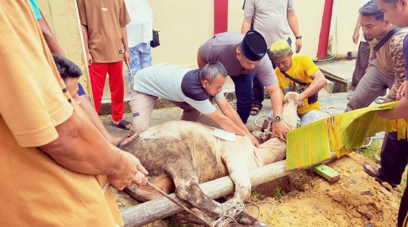 Kepala SMAN 13 Pekanbaru, Benny Rio Denaldy, S.Si., M.Pd., turun langsung memimpin jalannya seluruh prosesi pemotongan hewan kurban sejak pukul 08.00 WIB, Kamis (28/5/2026). (Foto: Humas SMA Negeri 13 Pekanbaru)