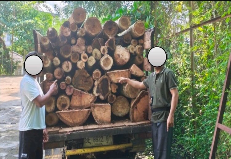 Balai Penegakan Hukum (Gakkum) Kehutanan Wilayah Sumatera bersama Dinas Kehutanan Provinsi Lampung bergerak taktis menggagalkan praktik pembalakan liar (illegal logging), Senin (1/6/2026). (Foto: Kemenhut RI)