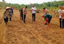 Kapolsek Kampar Kiri Hilir (KKH), AKP Era Maifo, S.H., pada Rabu (3/6/2026) pagi sekitar pukul 09.30 WIB melaksanakan penanaman perdana komoditas jagung pipil di Desa Sungai Simpang Dua, Kecamatan Kampar Kiri Hilir, Kabupaten Kampar, Riau. (Foto: Humas Polres Kampar)